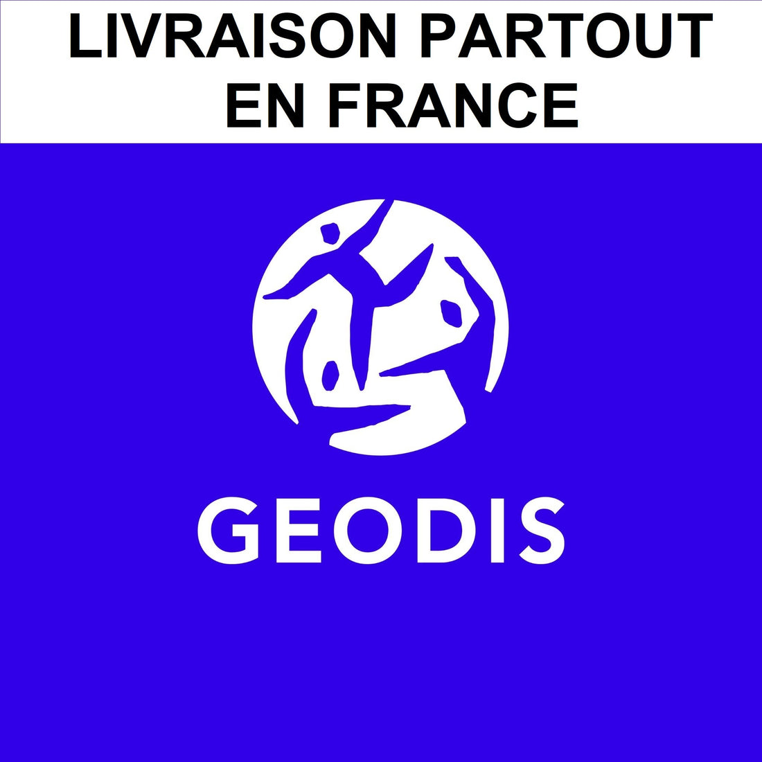 Camion GEODIS livrant du carrelage haut de gamme Blanche Matériaux Nobles – livraison rapide et sécurisée.