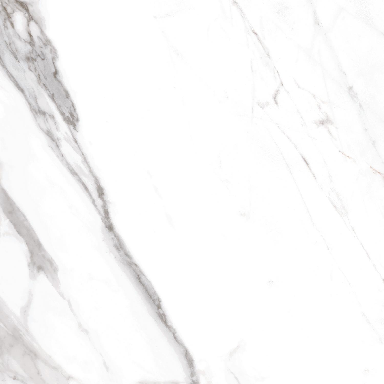 Carrelage sol/mur effet marbre blanc mat Royal Gris l.60 x L.60 cm