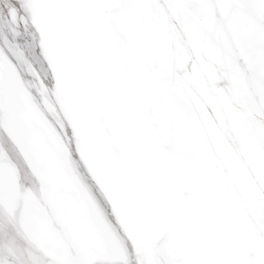 Carrelage sol/mur effet marbre blanc mat Royal Gris l.60 x L.60 cm